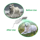 Pet Grooming Dryer