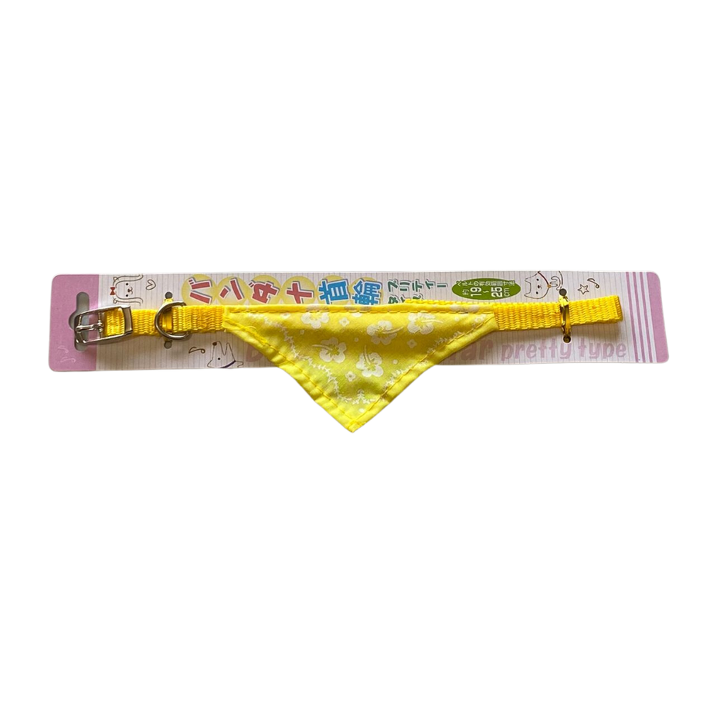 Pretty Type Collar