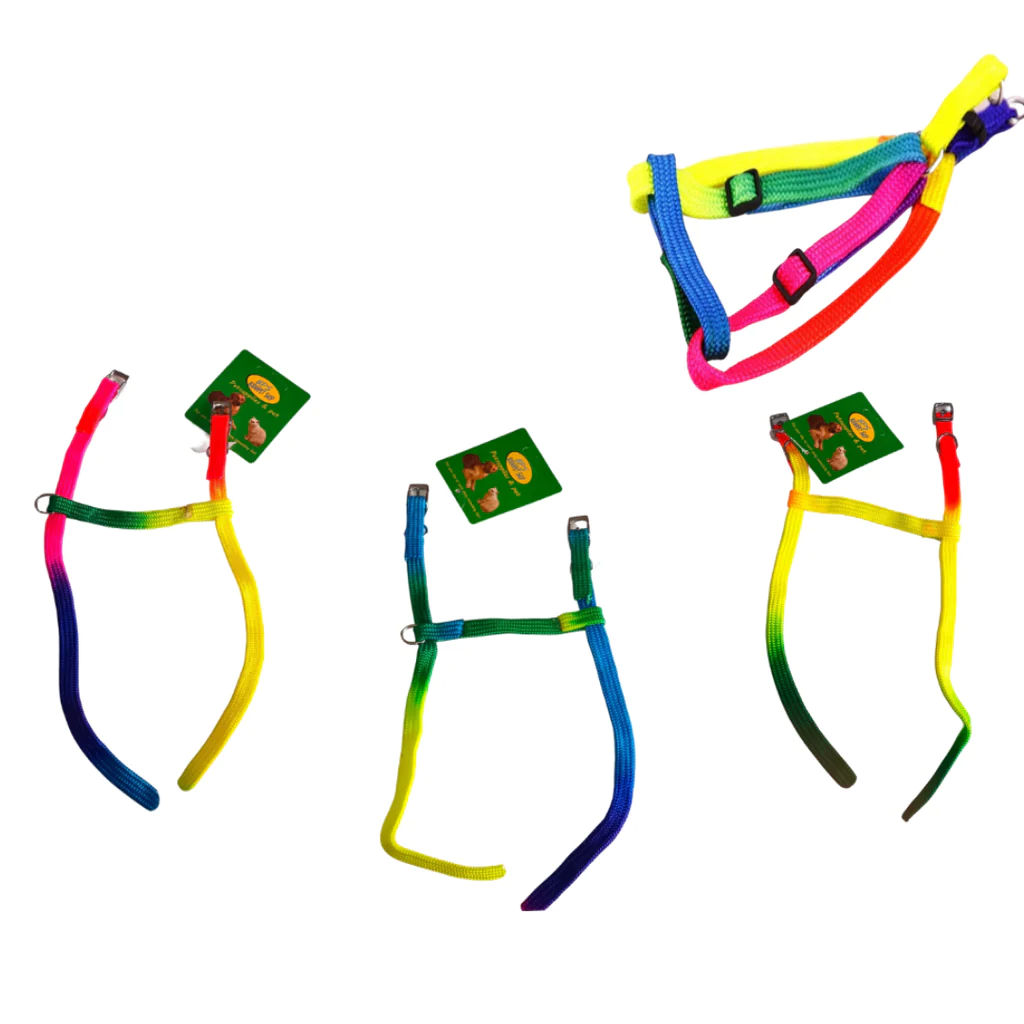 Harness Rainbow