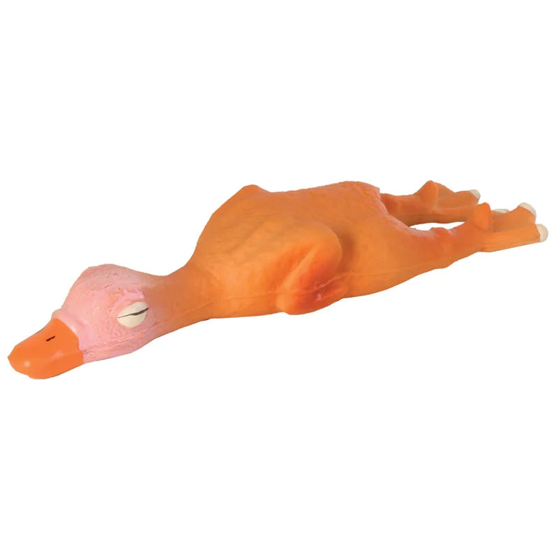 Latex Toy