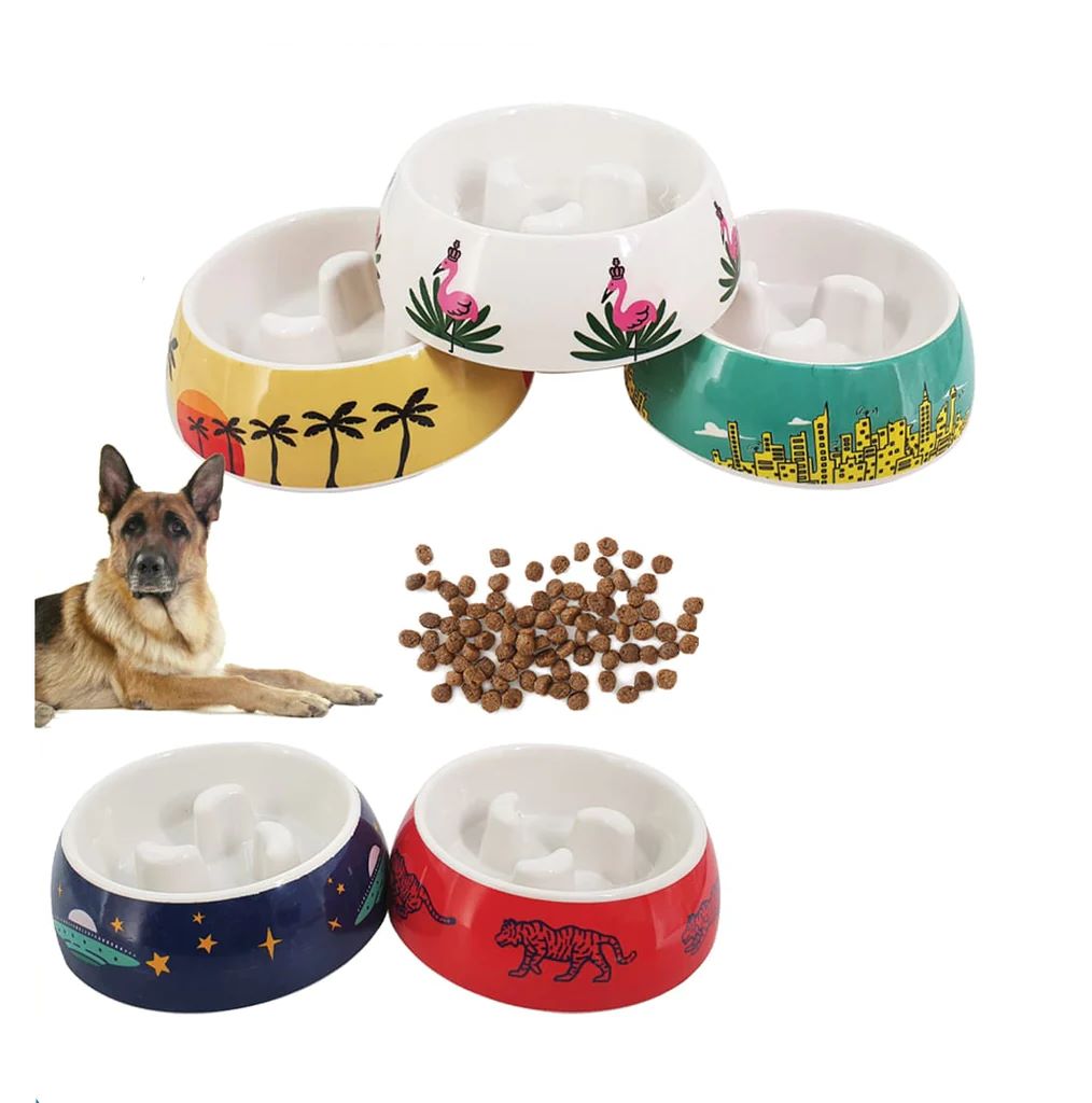 Slow Feeding Pet Bowl