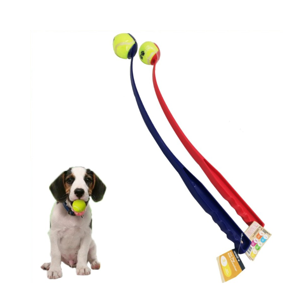 Dog Toy