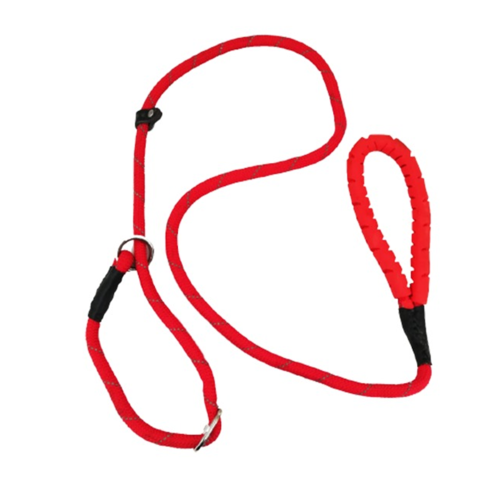 Dog Leash & Collar 2in1