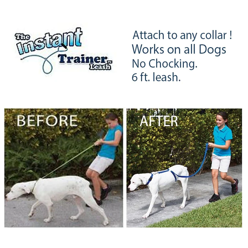 Instant Trainer Leash