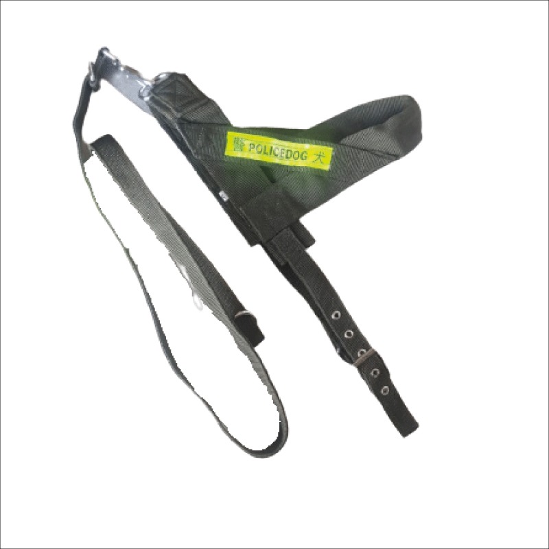 2in1 Police Leash