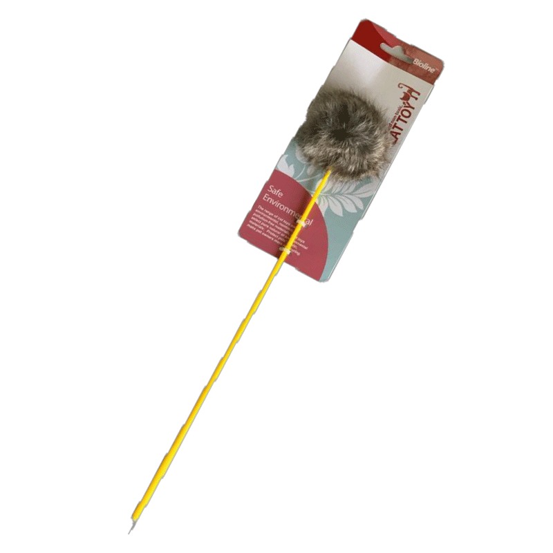 Cat Toy Safe Environmental