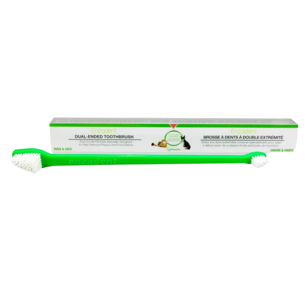 Dual-Ended Toothbrush