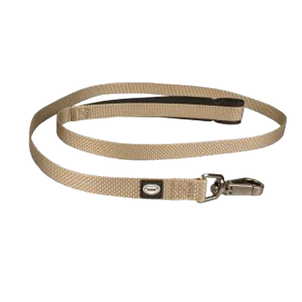 Explor North leash nylon