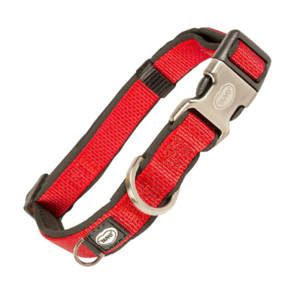 Explor West collar nylon