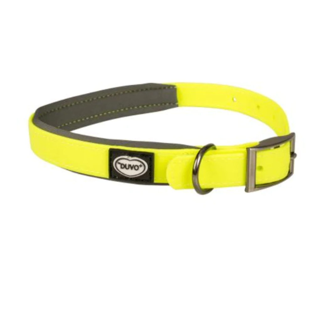 Explor South harness PVC (Medium)