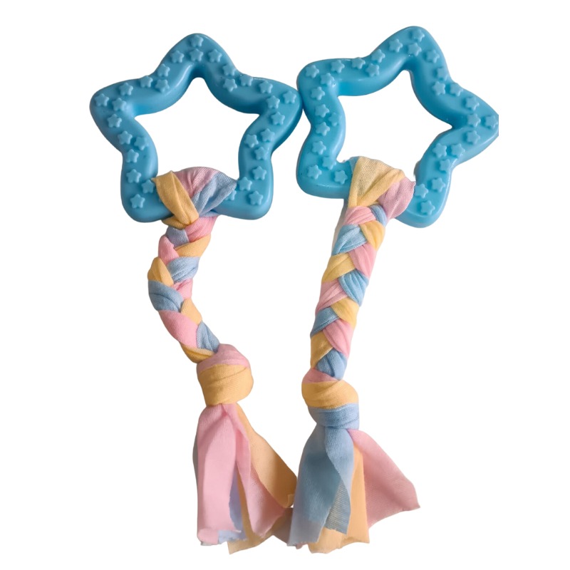 Chew Toys : Rubber Pet Toy (Blue)