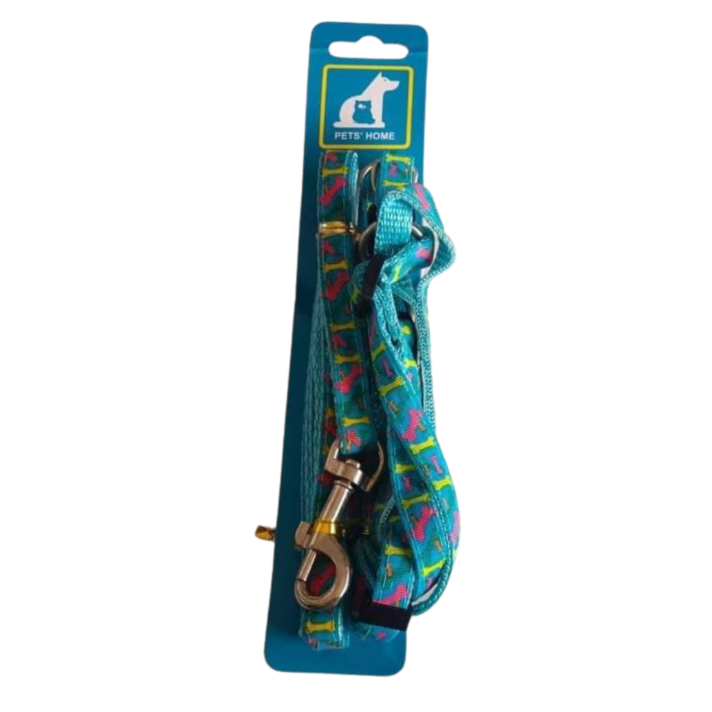 Leash With Harness (Blue)