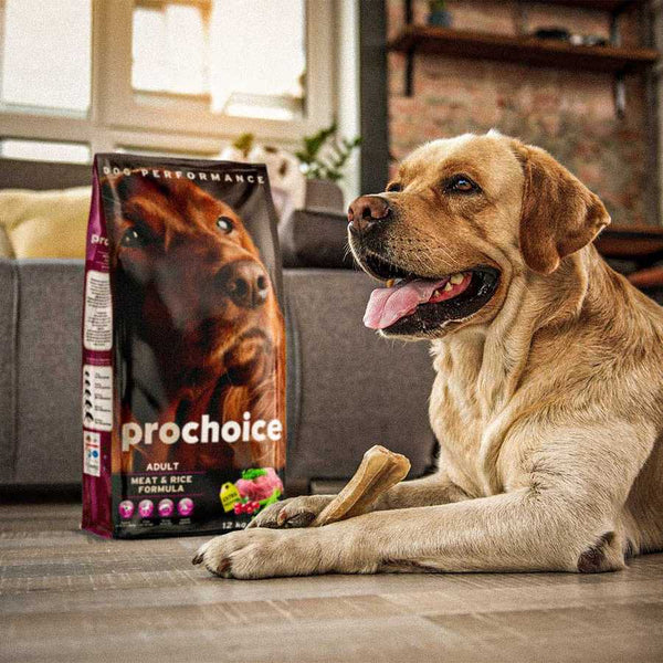 Prochoice Dog Proderma Lamb And Rice-12 kg