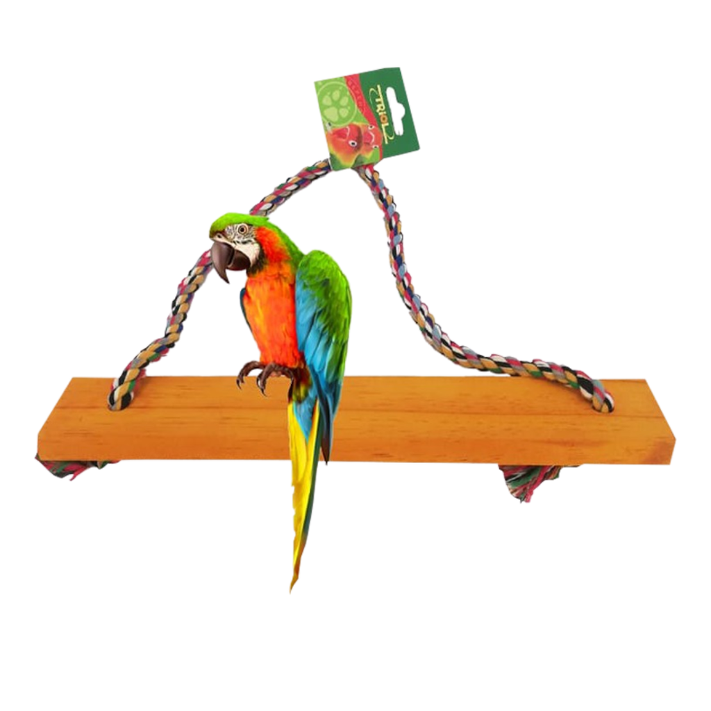 Bird Stand