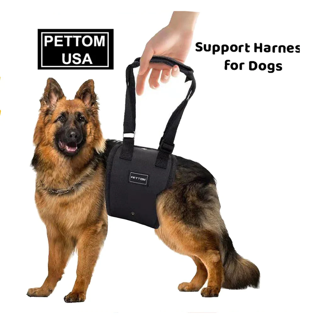 Dog Support Harness Pettom (Medium)