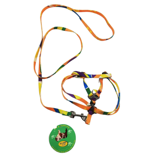 Multicolor Leash with Harness