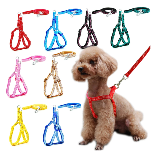 Leash With Harness