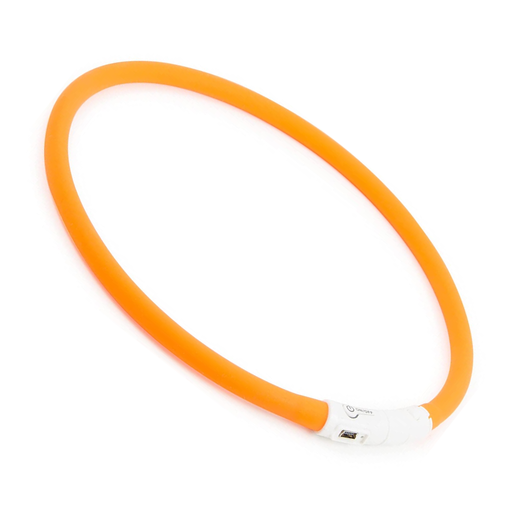 Zoofari Led Collar