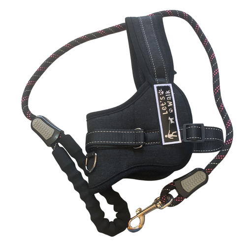 Support Harness With Leash