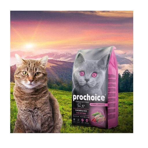 Pro 37 Kitten chicken & Rice Plus